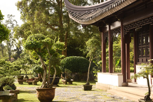 japanischer Garten Singapur