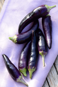 Chili schwarz lila