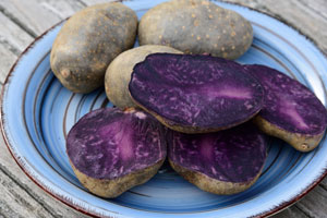 Kartoffel Purple Rain
